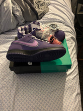 Load image into Gallery viewer, Nike SB dunks